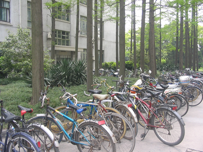 uploads/200704/IMG_2145.jpg