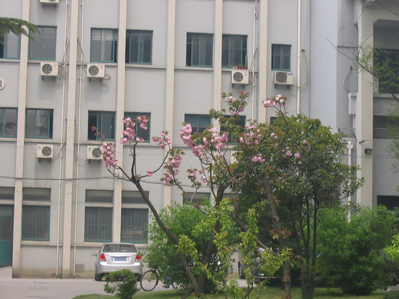 uploads/200704/IMG_2165.jpg