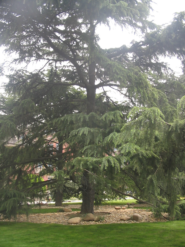 uploads/200704/IMG_2210.jpg