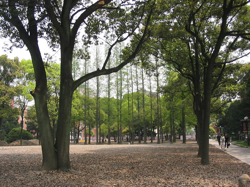 uploads/200704/IMG_2236.jpg