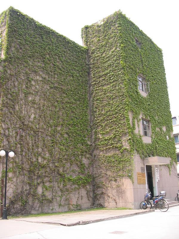 uploads/200704/IMG_2247.jpg