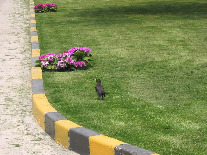 uploads/200704/IMG_2262.jpg