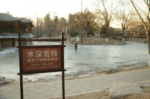 large_CuqP_226100005f7e1190