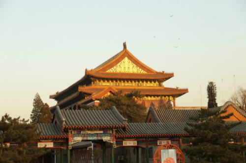 large_DTx3_7b8500004cd8125f